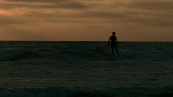 サーファーはカリフォルニアの夕日の間彼のボード上に座っている — ストック動画