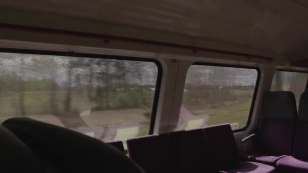 緑の自然への移動列車内の眺め — ストック動画