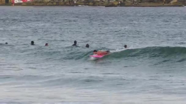 Surfista Coge Una Ola Bondi Beach Sydney Nueva Gales Del — Vídeo de stock