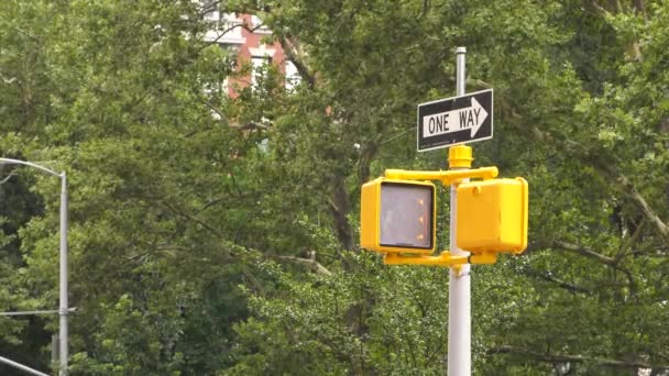 Autobús Dos Pisos Detiene Una Esquina Ciudad Nueva York — Vídeos de Stock