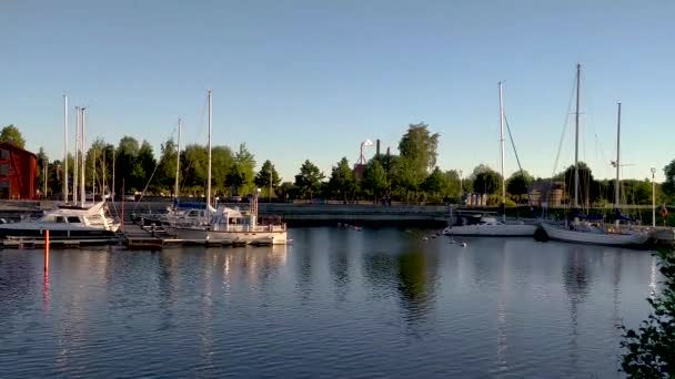 Summer Evening Harbor — Stock Video