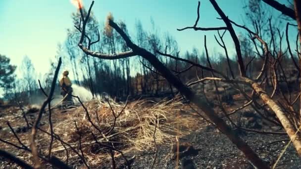 Bombeiros Mangueirando Restos Incêndio Florestal — Vídeo de Stock