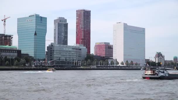 マアス川のロッテルダム市内を航海するボート オランダの水上タクシーと澄んだ空が含まれています — ストック動画