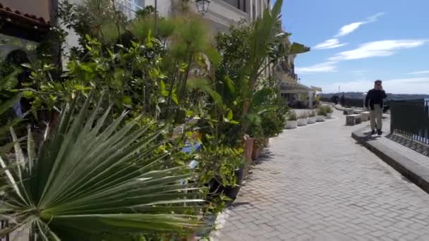 Mooie Planten Straat Sicilië — Stockvideo