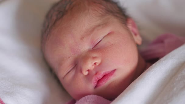 Újszülött csecsemő egynapos alszik békésen kiságyban kis arc és gyors szemmozgás.