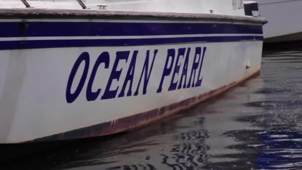 Biała Łódź Słowem Ocean Pearl Unosi Się Brudnej Czarnej Wodzie — Wideo stockowe