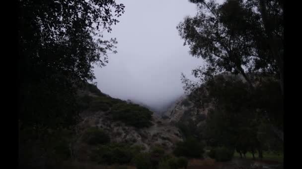 Рано Утром Местному Времени Туман — стоковое видео