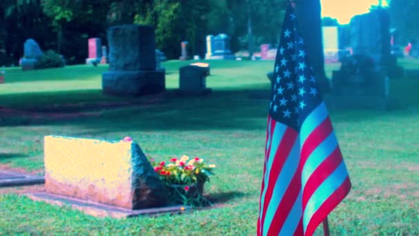 Flagge Auf Einem Soldatengrab — Stockvideo