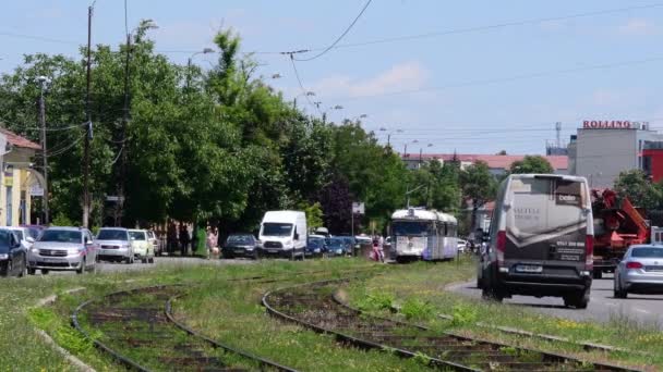 Timisoara Roménia Eléctricos Rua Cetatii — Vídeo de Stock