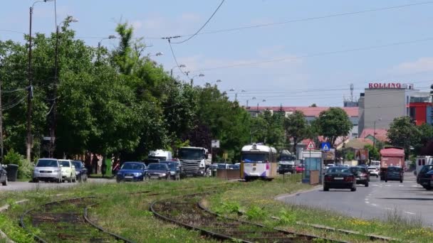 Timisoara Rumänien Spårvagnar Gatan Cetatii — Stockvideo