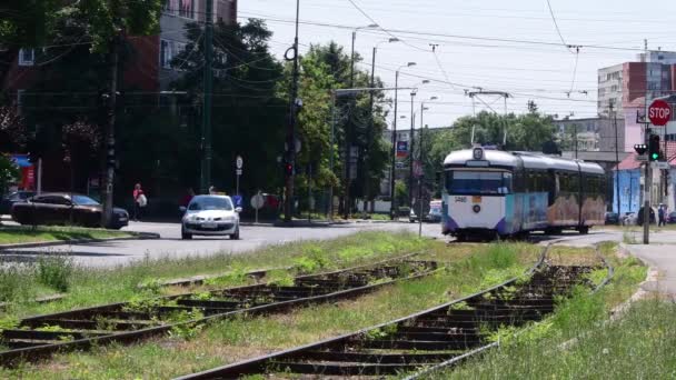 Timisoara Roemenië Trams Cetatii Straat — Stockvideo