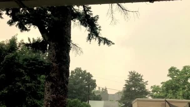 家の中からの雷雨の眺め — ストック動画