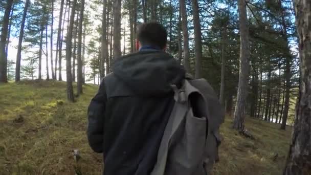 Молодой Человек Гуляющий Лесу — стоковое видео