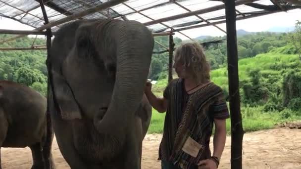 一个人把香蕉喂给大象 — 图库视频影像