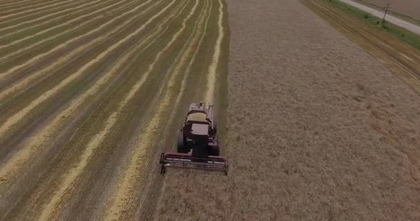 Запись Воздушного Беспилотника Собирающего Пшеницу Канзасе — стоковое видео