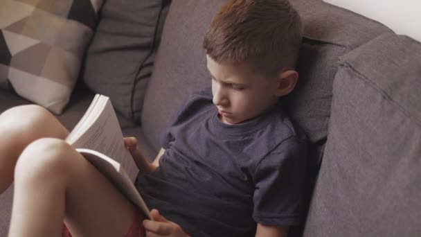 Cute Little Boy Sitting Sofa Home Reading Book — Stock Video