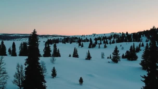 Drone Zweeft Boven Het Winterlandschap Geeft Een Overzicht Van Een — Stockvideo