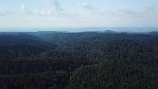 Cienmatic Vue Aérienne Forêt — Video