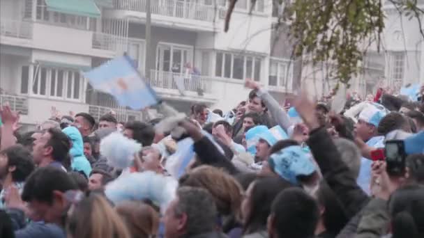 Argentinos Celebrando Una Meta Escuadrón — Vídeo de stock