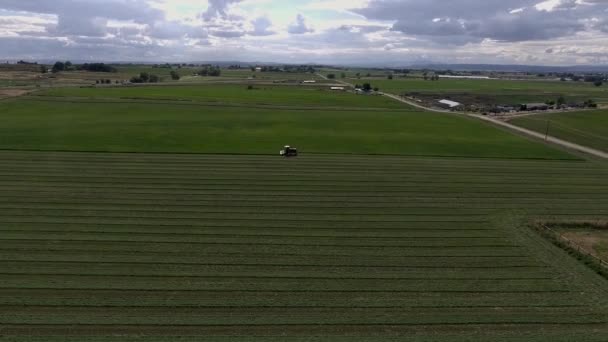 Luftaufnahme Eines Traktors Der Heu Auf Einem Feld Mäht Drohnenaufnahmen — Stockvideo