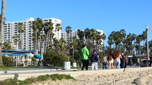 カリフォルニア州サンタモニカのビーチバイクの道を歩く観光客 — ストック動画