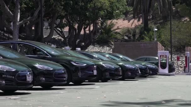 Een Lijn Van Zwarte Teslas Laders Bij Een Bomvol Supercharger — Stockvideo