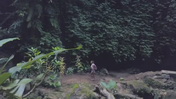 Авиация Красивой Девушки Путешествующей Джунглях Бали Индонезии — стоковое видео