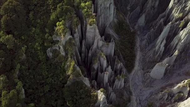 Langsame Luftaufnahme Der Erstaunlichen Putangirua Pinnacles Neuseelands Beliebtem Wander Und — Stockvideo