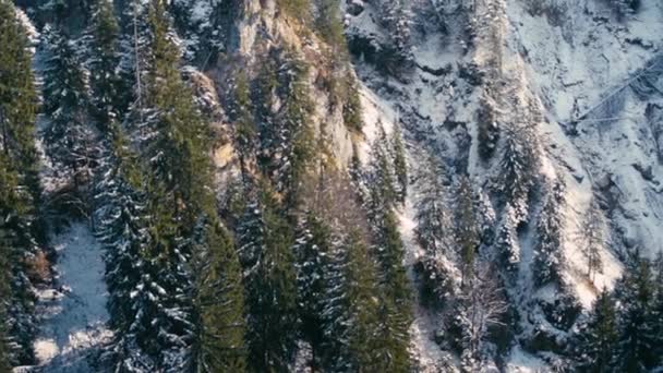 Långsam Panorera Upp Sidan Schweiziska Alperna Berg Till Toppen Som — Stockvideo