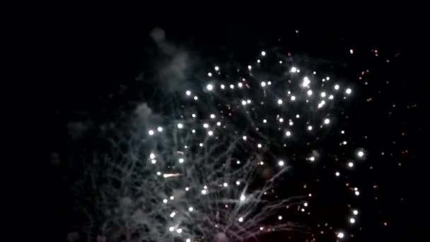 Fogos Artifício Com Cores Bonitas Durante Festival Verão Multicores — Vídeo de Stock