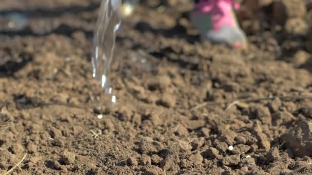 Versare Secchio Acqua Sulla Sporcizia Giardino Zimbabwe Africa Slow Motion — Video Stock