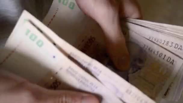 Arjantin Parası Saymak Pesoları — Stok video