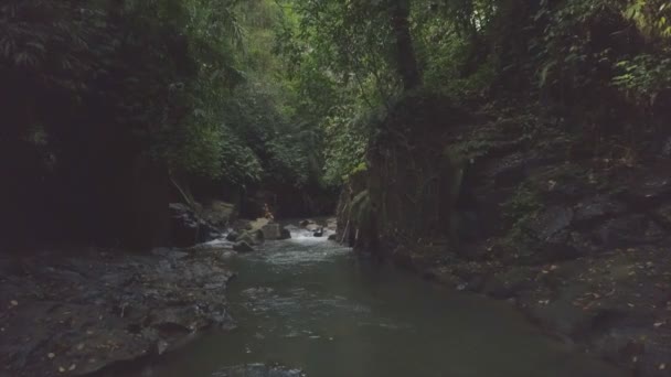 巴厘岛丛林中比基尼徒步旅行河中的美女 — 图库视频影像