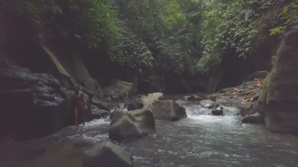 巴厘岛丛林中比基尼徒步旅行河中的美女 — 图库视频影像