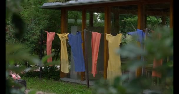 Shirts Der Natur Ansehen — Stockvideo