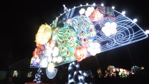 中国点亮了美丽孔雀花和蝴蝶的灯笼结构 博纳植物园中国轻型艺术作品的色彩展示 — 图库视频影像