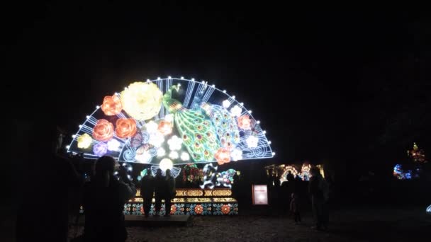 Contemplant Beau Paon Parmi Conception Florale Étonnante Lumières Festival Porcelaine — Video