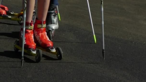 Entrenamiento Esquí Sobre Ruedas Colina Cerca Del Salto Esquí Holmenkollen — Vídeo de stock