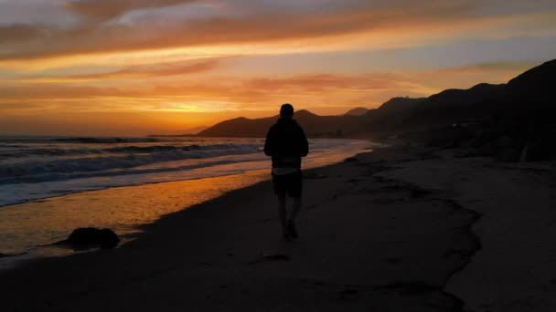 오렌지색 해변의 실루엣으로 캘리포니아 해안에서 이발사되었다 — 비디오