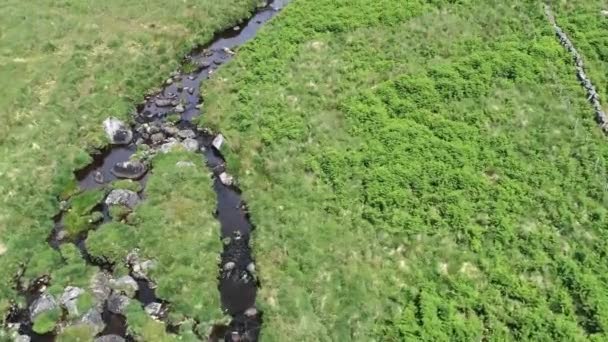 Vista Aérea Panorámica Del Ojo Pájaro Siguiendo Hacia Adelante Hacia — Vídeo de stock