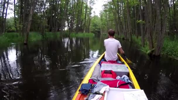 Remando Través Bosque Río Tranquilo Una Canoa Llena — Vídeos de Stock