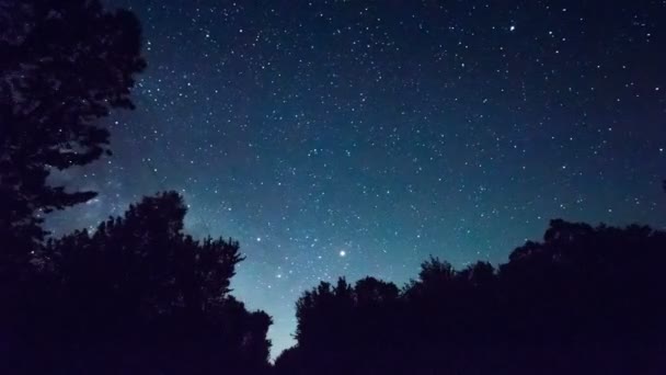 Kék Csillagos Éjszakai Égbolt Tejút Galaxis Időrendje Sötét Erdő Felett — Stock videók