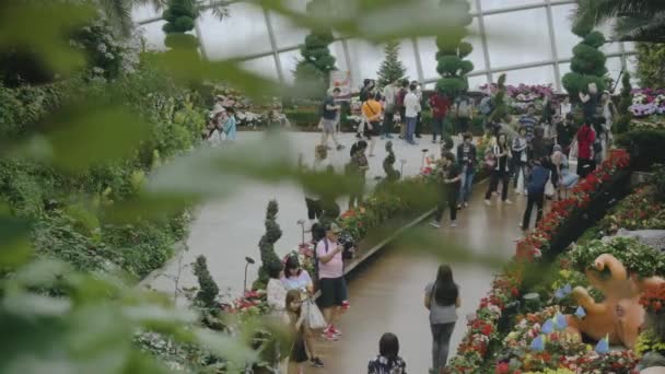 一群游客在新加坡湾附近的花园中参观花卉圆顶 展示海棠艳丽的花朵 — 图库视频影像