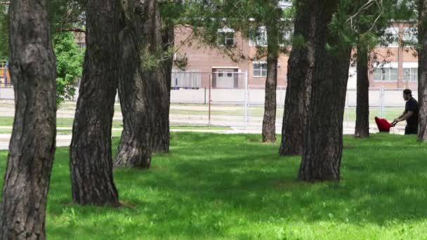 一个男人把婴儿车推下一条有公园树木的人行道 这是一个很长的镜头 — 图库视频影像