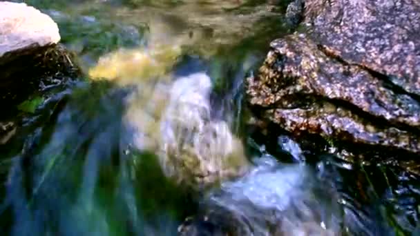 Νερό Που Τρέχει Πάνω Από Μια Πέτρα — Αρχείο Βίντεο