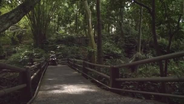 Bali Endonezya Ormanında Scooter Süren Genç Bir Kadın — Stok video