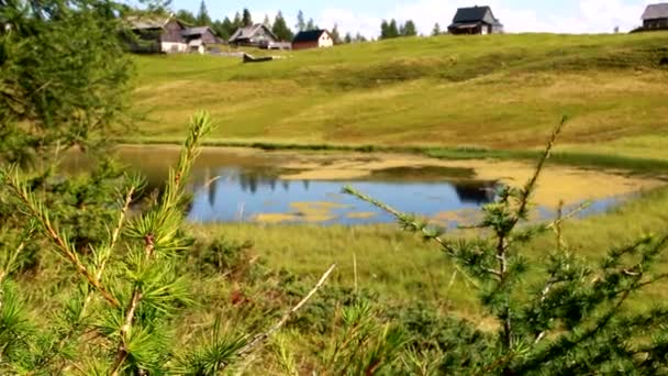 Lago Áustria Com Galhos Primeiro Plano — Vídeo de Stock