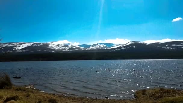 Národní Park Cairngorms Celé Své Kráse — Stock video