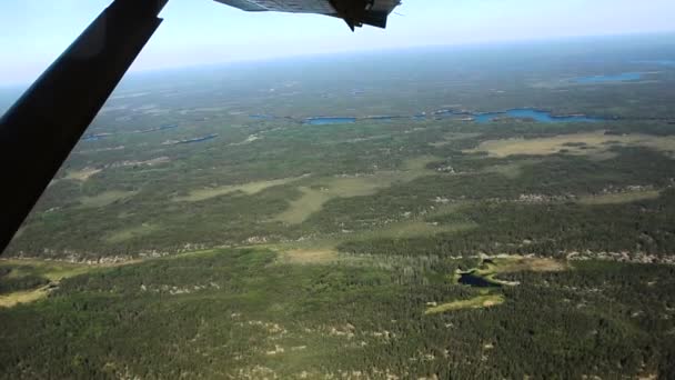 Seaplane Lago Floresta Boreal — Vídeo de Stock