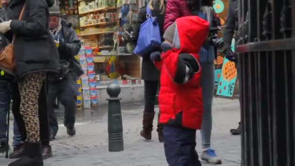 Turister Och Kisspojken Bryssel Belgien Den Mest Kända Symbolen För — Stockvideo